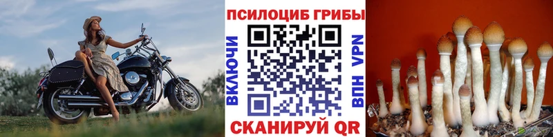 закладка Юрьевец Галлюциногенные грибы ЛСД